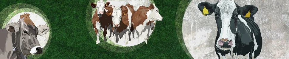 veterinary sheath banner
