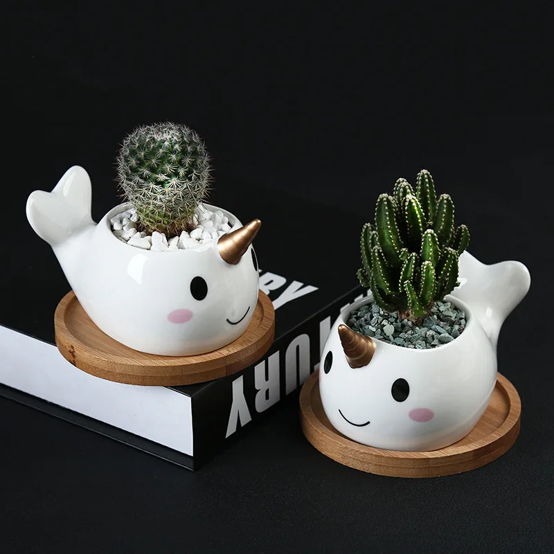 

Narwhal Ceramic Planter Pot unicorn whale animal Succulent Plant Container Green Small Bonsai Flower Pots Home Decoration, Customized color