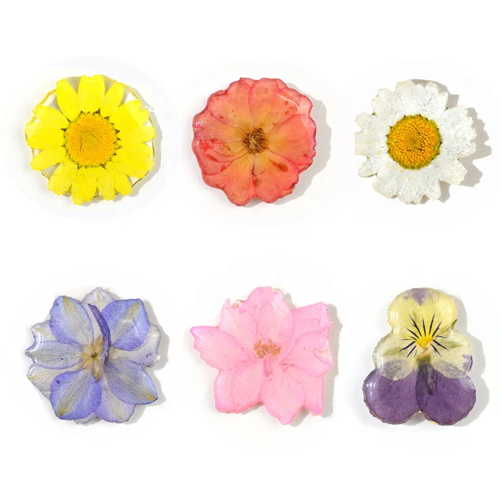 

JF029 6 Styles Natural Real Pressed Dried Flower Petal Resin Pendant Earring Daisy Charm Craft Jewelry For Women