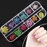 

24 flowers 12 Colours Real Dried Flowers Nail Art Decoration DIY Tips Nail Decals