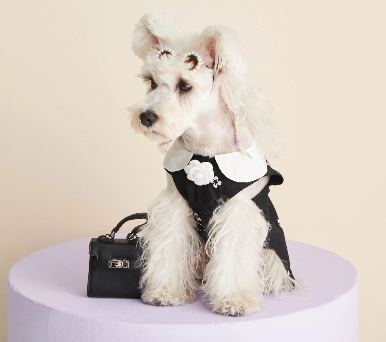 

Wholesale new style pet dress summer dog clothes fashionable pet dress