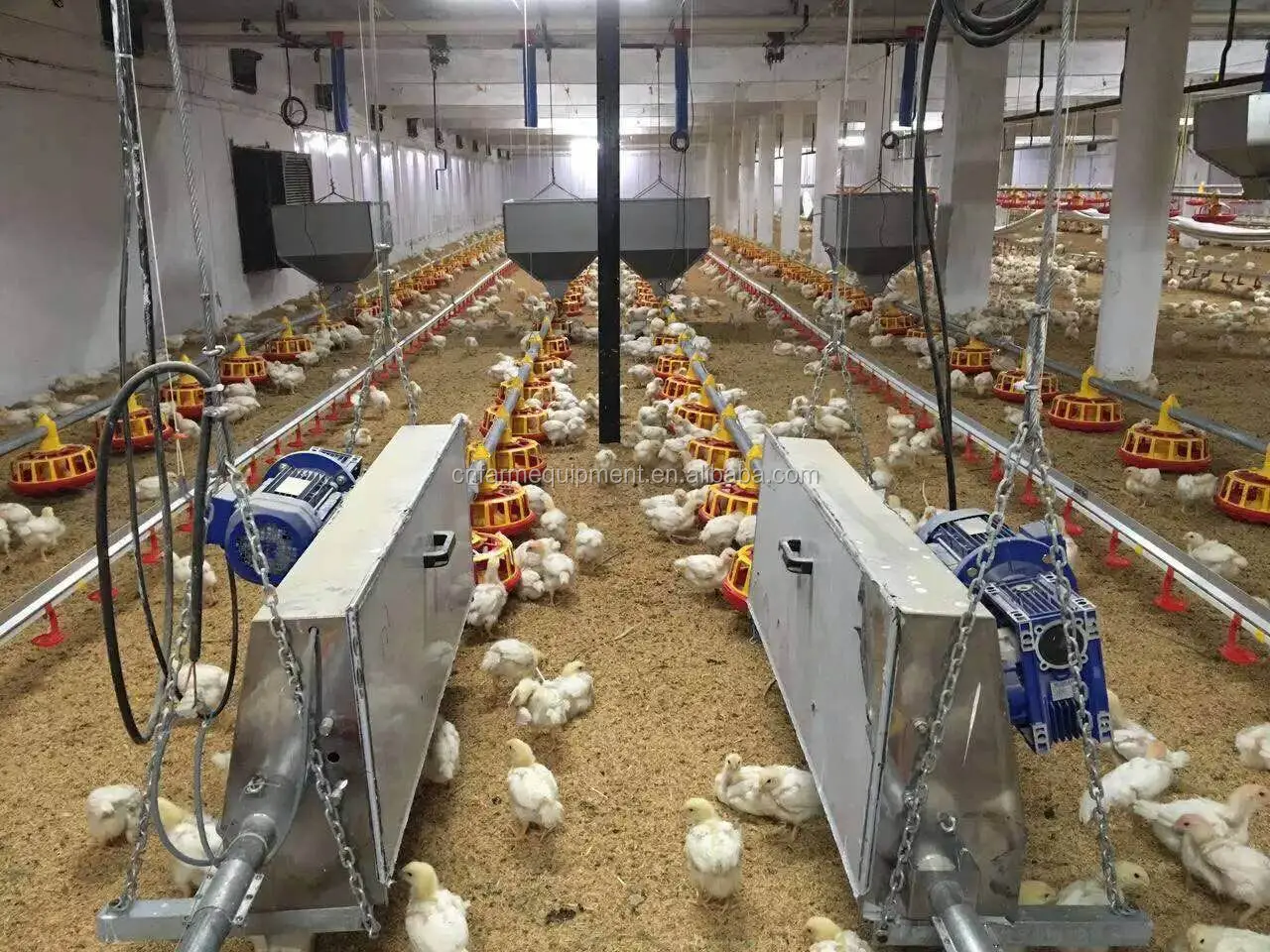 Optimize Broiler Kalorien with Efficient Feeding Systems