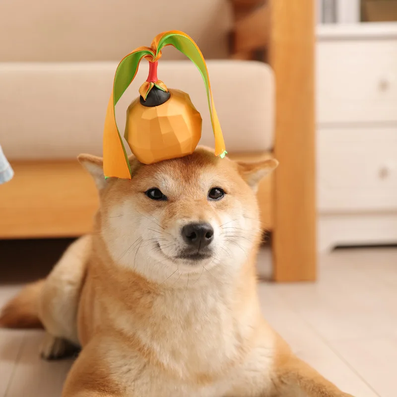 

Wholesale Amazon hot selling durable dog chew ball toys Fruit shape leakage toy pet molar teeth toy