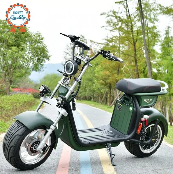 

Door To Door Delivery Electric Vehicle 60V20ah Scooter Citycoco Portable Lithium Battery, Black