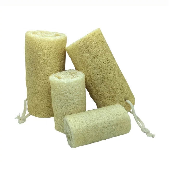 

Factory wholesale Pure natural pollution-free healthy 35cm~39cm towel gourd for wash dishes and baths