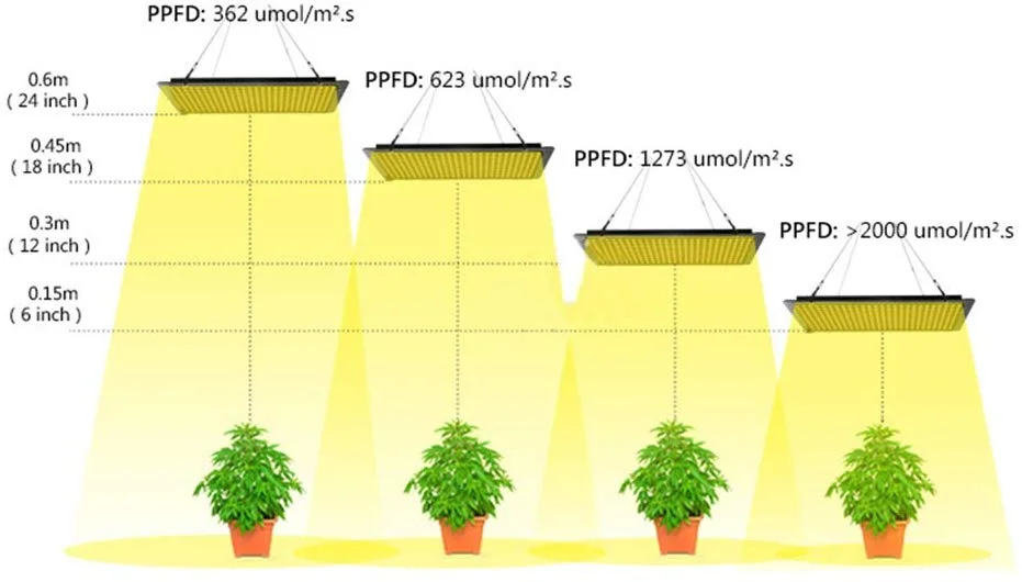 09YK}ETZ(H)WIFB}TKW3~JI.png