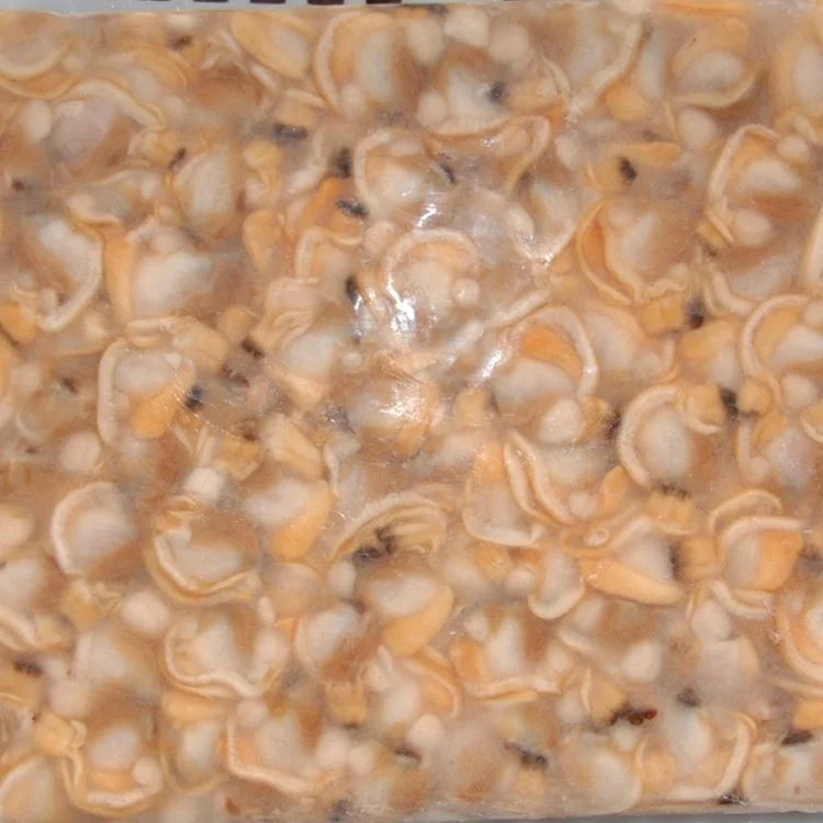 
New Coming Frozen Whole Shell Boiled Short Neck Clam 