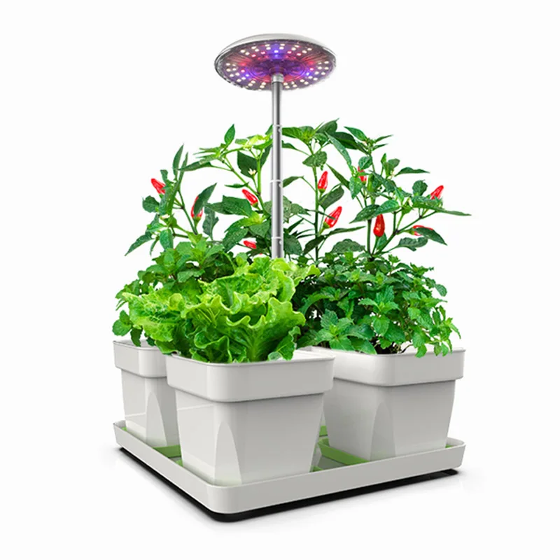 

2021 Channi Minigarden with smart soil Indoor Grow light Hydroponics Herb Growing Kit Garden lamp system