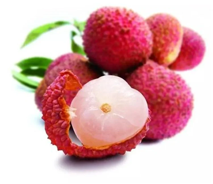 manufacturers selling fabulous tasty fresh fruit litchi