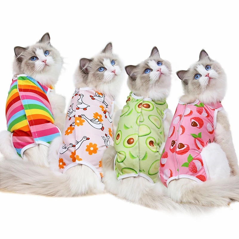 

Rainbow Nice Color Soft Cozy Cat Sterilization Recovery Suit Cat Clothes Pet Surgery Recovery Suit, Multicolor