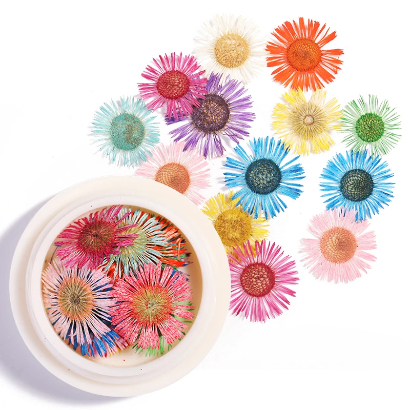 

1pcs/jar Dried Flowers Nail Art Decorations Manicure Accessories
