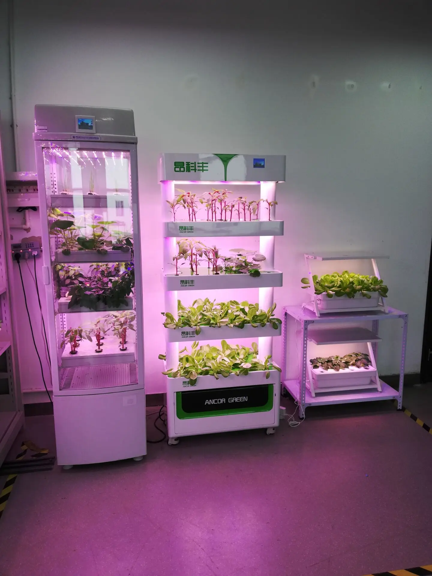 plant incubator