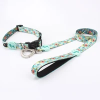 

Top professional pet supplies unique stylish polyester dog leash collar custom