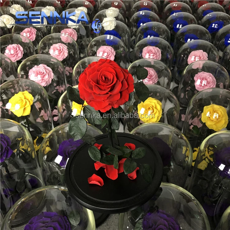 preserved flower in glass