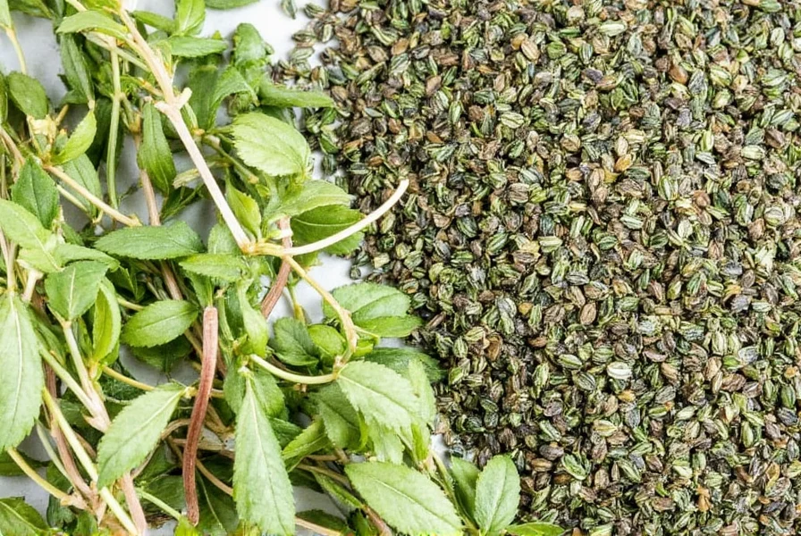 fresh vs dried herbs the ultimate ratio hack for flavor packed cooking