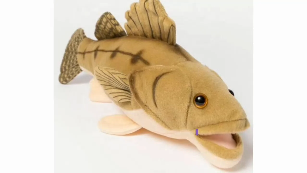 Wagsdale Here Fishy Fishy Plush Dog Toy, Medium