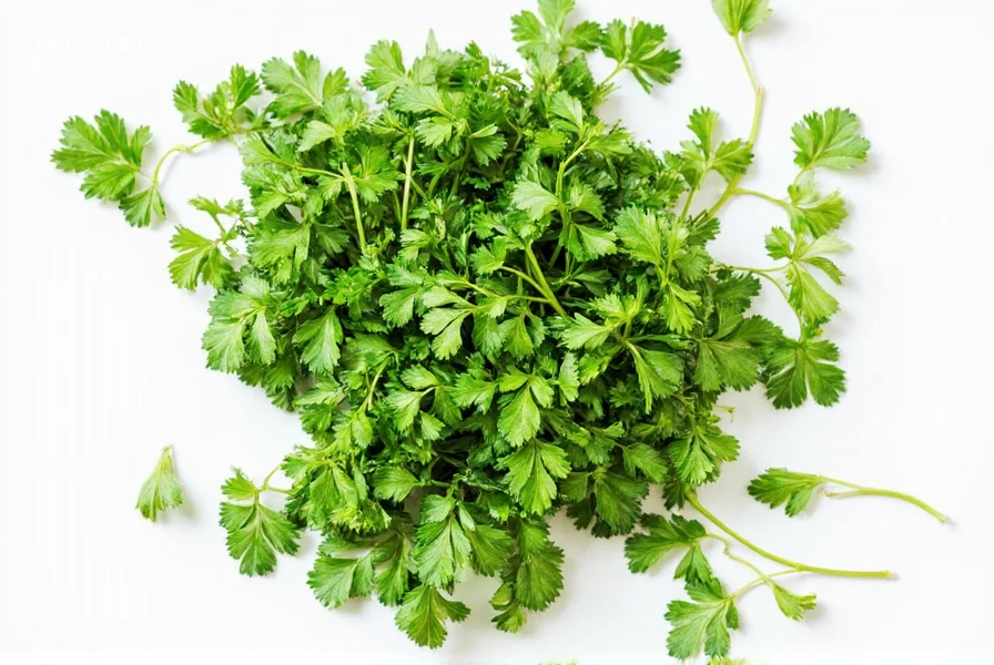 Organic Herbs on Shelf