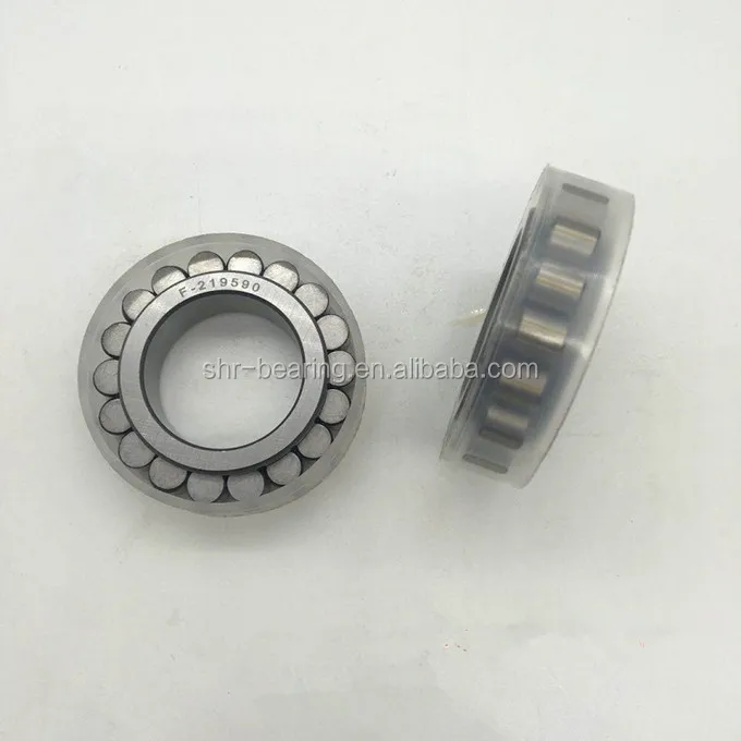 F-553596.01.NUP Cylindrical Roller Bearing for Printers
