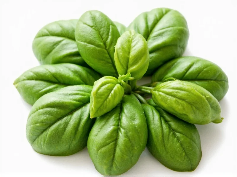 Dried Basil to Fresh Basil Conversion: 1:3 Ratio Explained