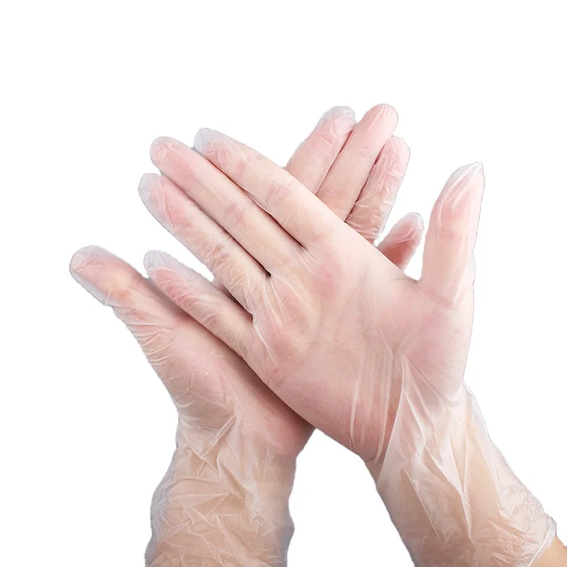 

Powder Free Restaurant Use Examination PVC Vinyl Disposable Gloves, Clear