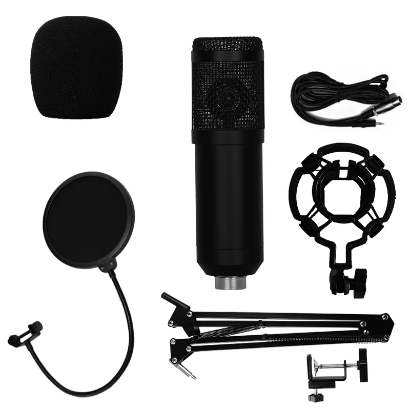 

Professional Set Large Diaphragm Recording Condenser Body Microfono Mini Diy Small Tube 800 Condenser Microphone