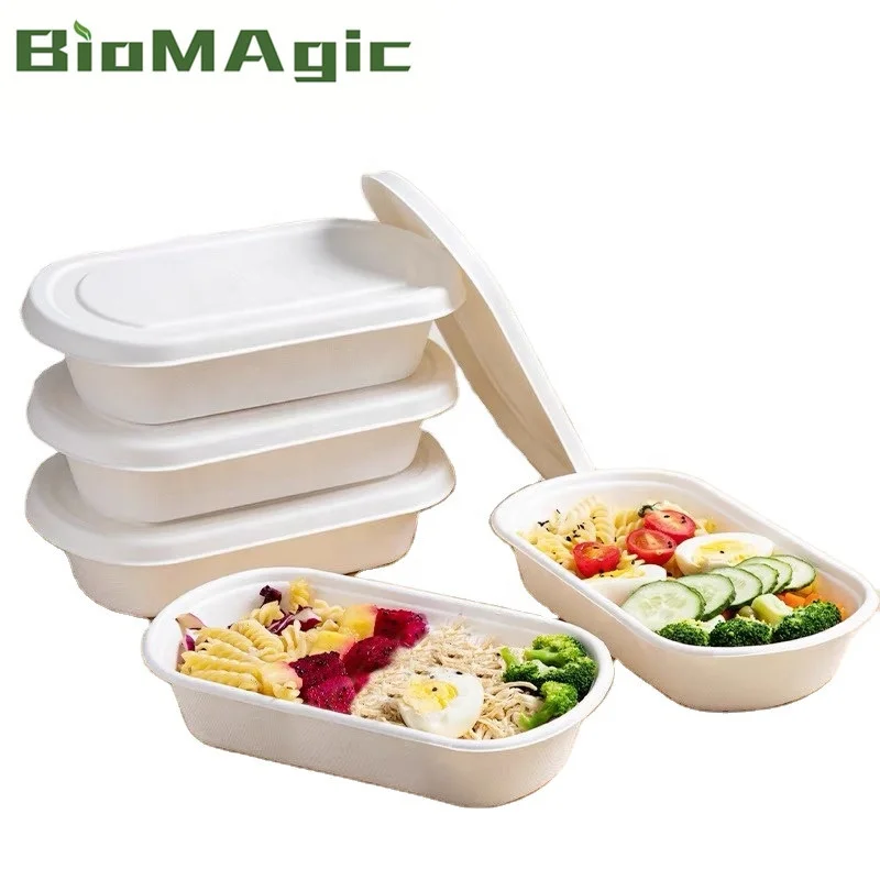 

Wholesale Custom Biodegradable Take-Away Sugarcane Disposable Plastic Lunch Box Tableware, Customized