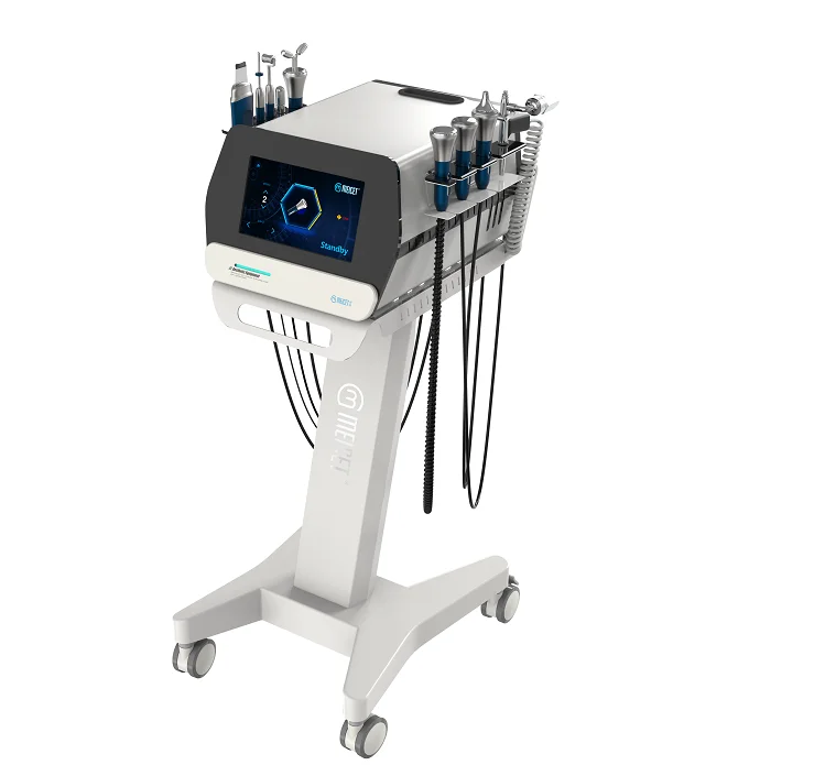 

Multifunctional 10 in 1 Beauty Spa Devices Acne Remover Anti-wrinkle Face Body Skin Care Lift Machine