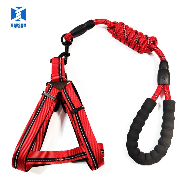 Heated Smart Nylon Bungee Poop Bag Holder Attachment Dog Collar Leather