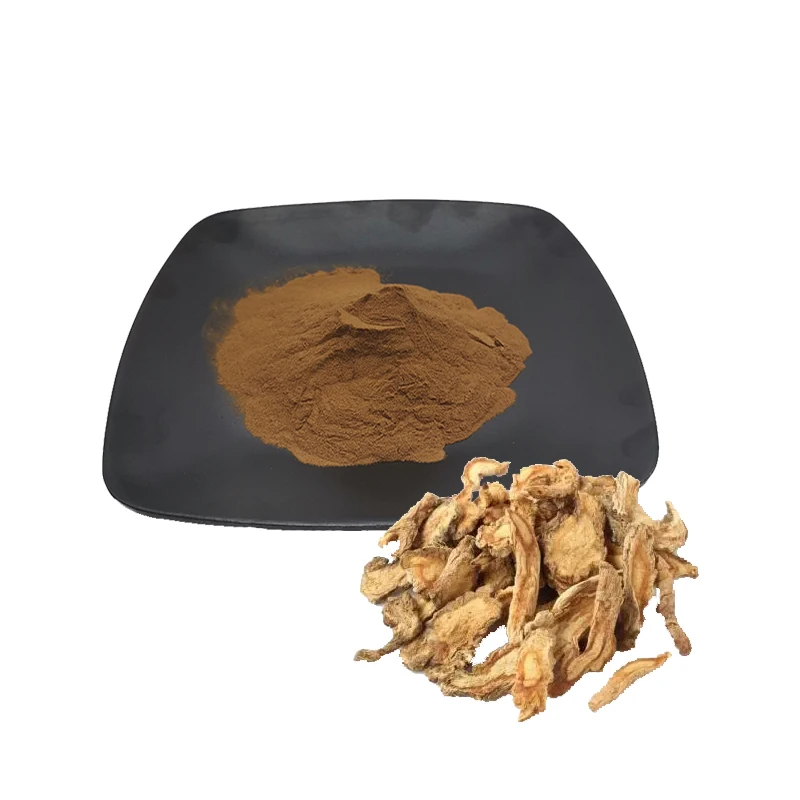 

Natural Plant Extract Supplies Parsnip/Fangfeng/Parsnip Extract