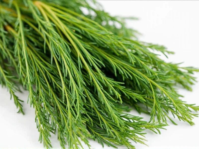 Best Substitutes for Dill: Top Herb Alternatives for Any Recipe