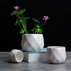 3Pcs/set Home Garden Decor geometric Ceramic Succulent Planter Pot Bonsai Plant Vase Creative Cactus Flower Pots with Drain Hole