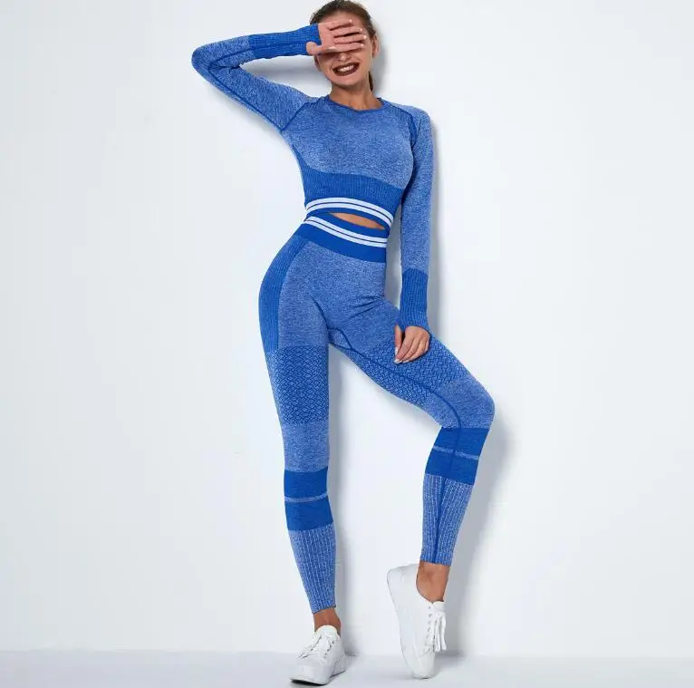 

4 colors available Women Fitness Sportswear Gym Leggings Long sleeve 2 Pcs Sports Suits Seamless Yoga Set, Picture shown