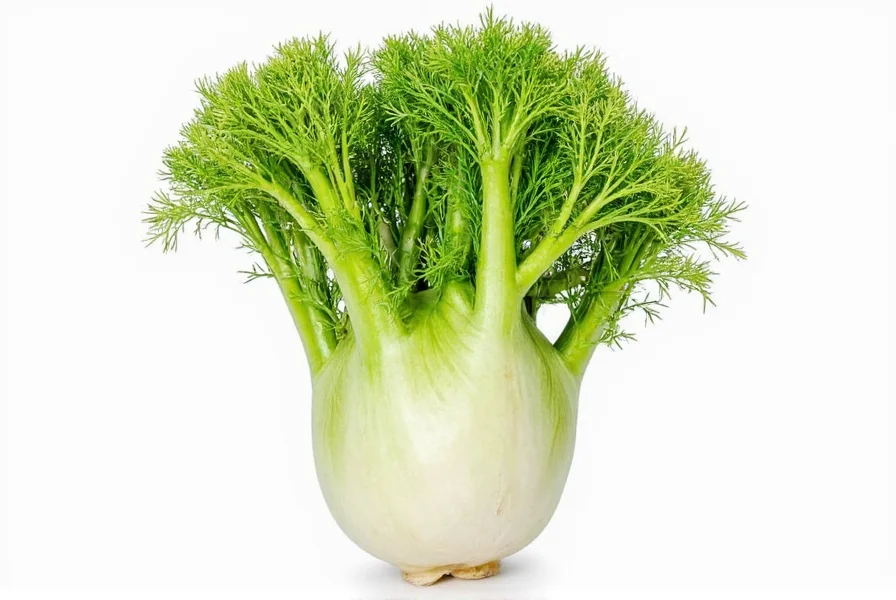 fennel flavor