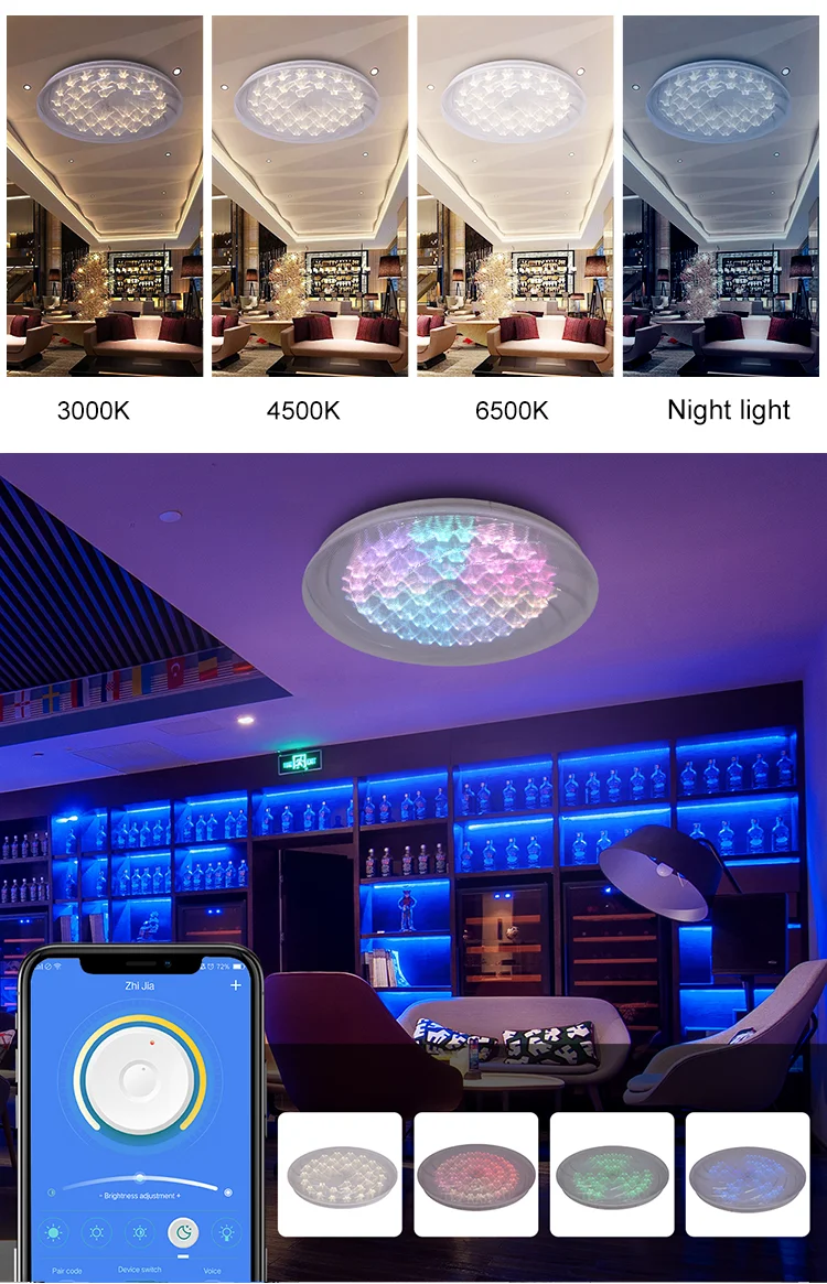 24w Led Ceiling Light Round Ceiling Light Color Changing Led Ip20