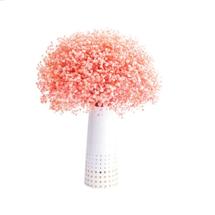 

Valentine day gift Everlasting Eternal Preserved dried gypsophila paniculata everlasting babysbreath flower