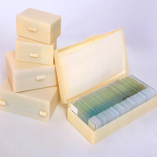 50pcs/Box Fixed Set High School OEM Biological Slides For Teaching