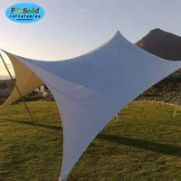 

Hot sell top quality bedouin stretch tents for events wedding,waterproof wedding tent