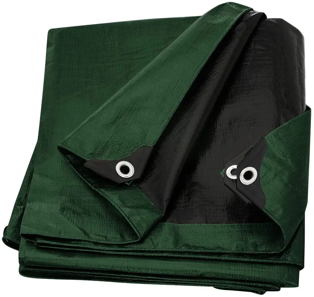 Green black.jpg