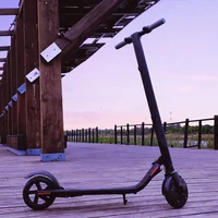 

2020 city high speed 8 inch cheap electric scooter IOT 36V e-scooter