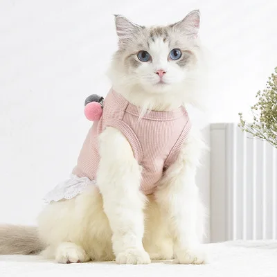 

Amazon Hot Sale Cat Clothes Online Spring Summer New Cute Girl Dresses Pets