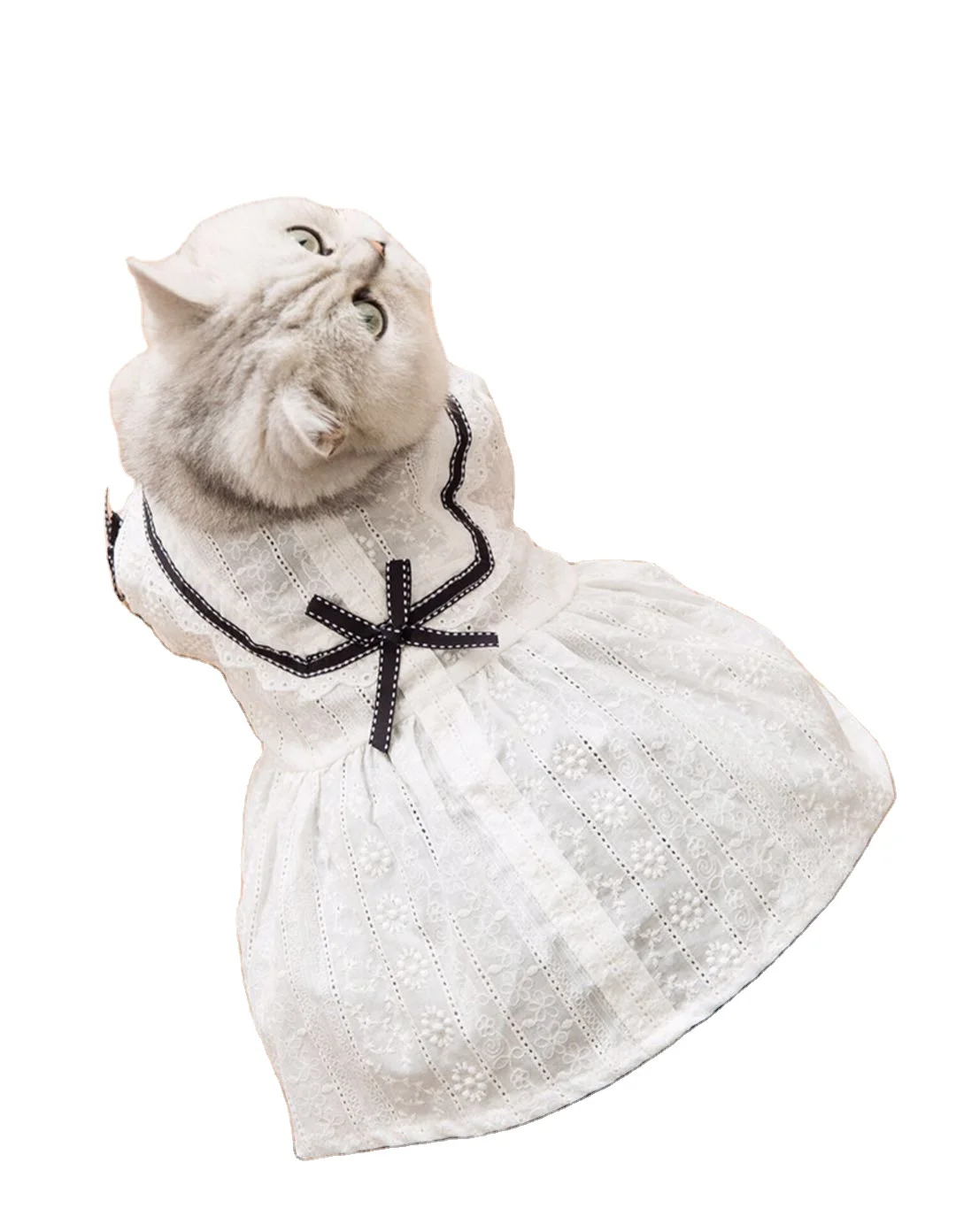 

Summer Thin BowKnot Cat Princess Lace Dress Cute Dog clothes, White
