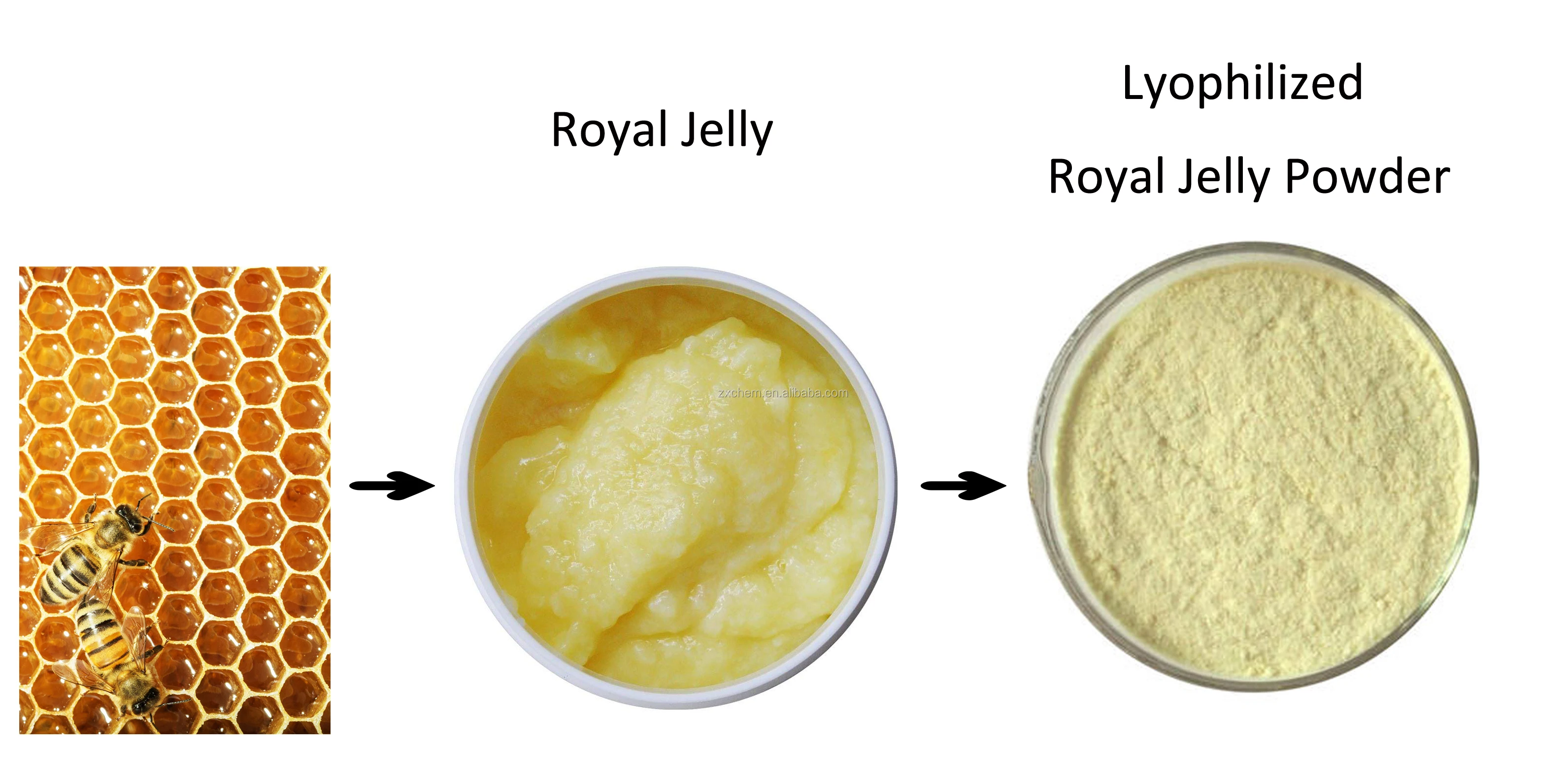 Royal Jelly Powder For Health Care Buy Royal Jelly,Royal Jelly Powder