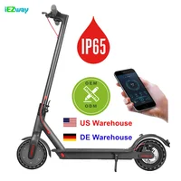 

2019 iEZway China Factory New Product Electric Scooter Foldable With 2 Wheels For Xiaomi M365