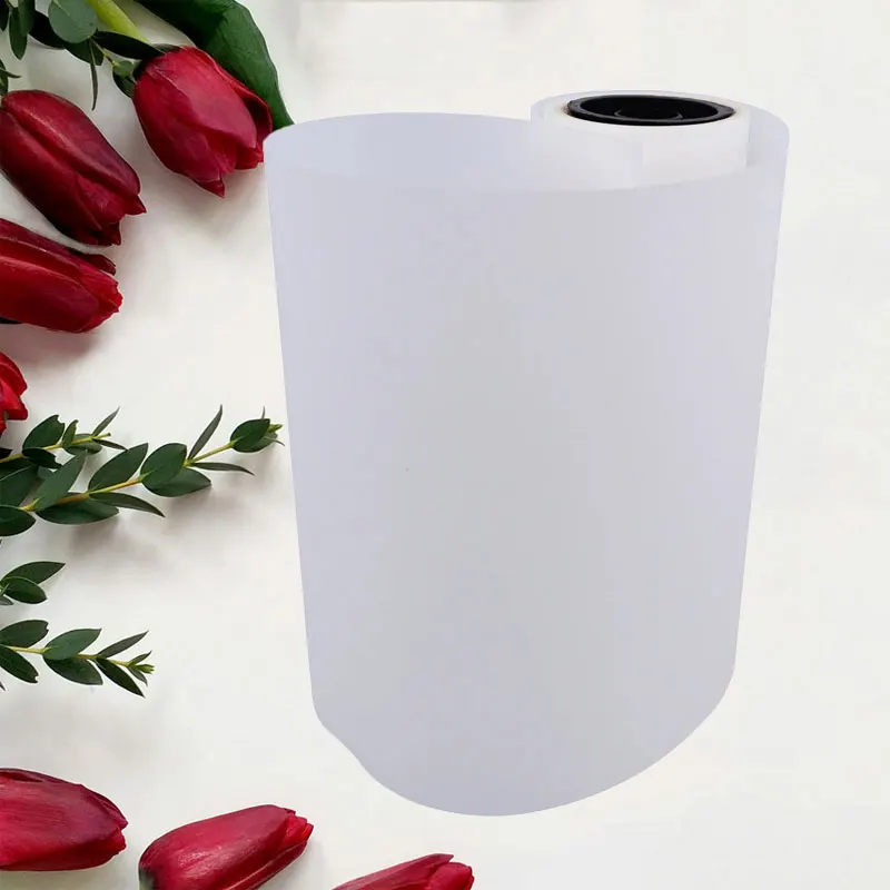 Jinlong 30cm 33cm 60cm 75U Thickness Single-sided Transparent DTF Hot Peel Transfer Roll Paper PET Film
