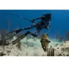 Wholesale diving equipment carbon fiber twill glossy pole spear pole fishing