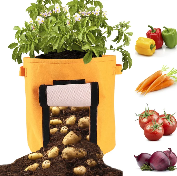 

AAA203 biodegradable Breathable nonwoven Bed Garden Grow bags Vegetable potato plant nursery grow bag Plants Felt seedling bag, Multi colour