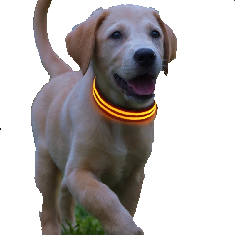 

Light up pet accessory USB charging dog collar led light up puppy dog collar with USB cable, Red,orange,yellow,green,blue,white,pink