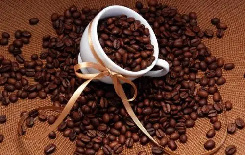 
Coffee bean roasting machine for coffee shop use 
