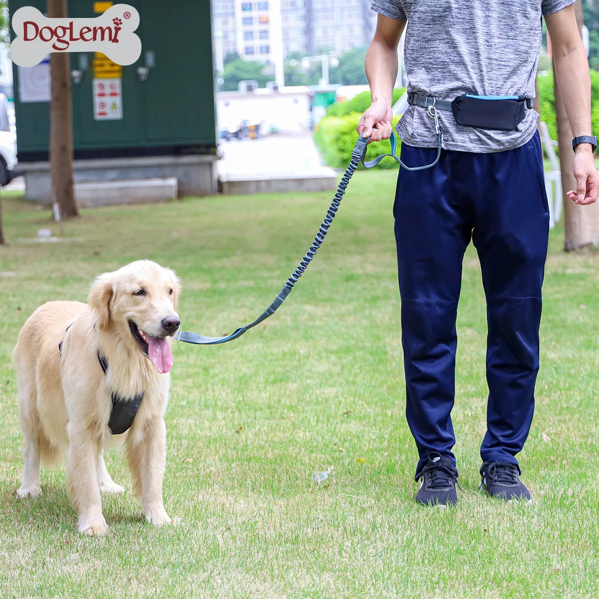 

Dog pet hands free bungee leash retractable ,handsfree bungee dog running waist leash