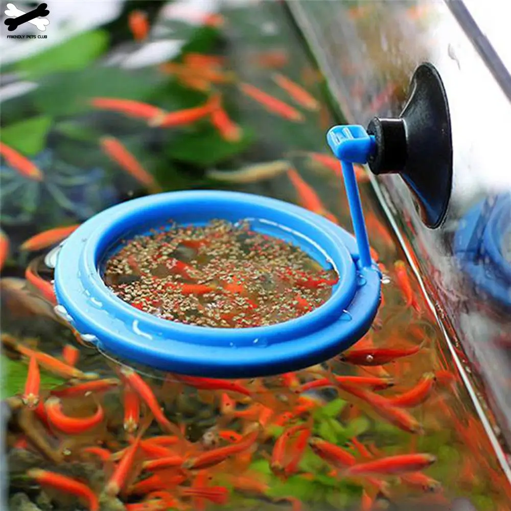 

Aquarium Equipment Buoyancy Feeding Ring Water Tank Powerful Suction Cup Type Fish Food Floating Feeding Ring, Pictures